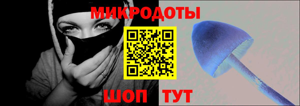 Галлюциногенные грибы Cubensis  что такое наркотик  Артёмовский  Вход с VPN 